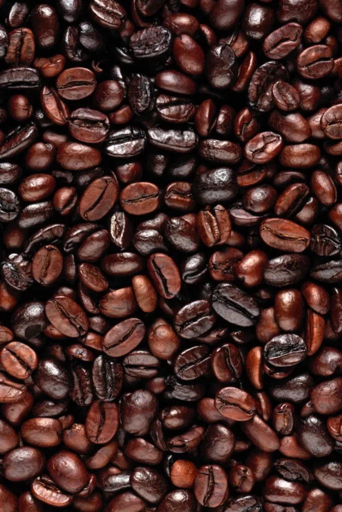 The allure of coffee beans a close-up.